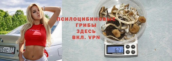 прущие крисы Заводоуковск