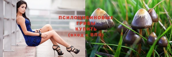мескалин Заволжье