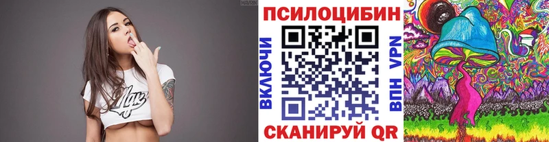 Галлюциногенные грибы Psilocybine cubensis  Купить  Строитель 